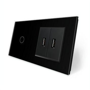 Сенсорный выключатель 1 сенсор 2 USB Livolo стекло черный VL-C701/2USB-12