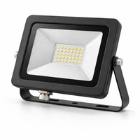 LED Прожектори у категорії