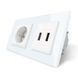 Розетка с заземлением с 2 USB розетками Livolo стекло белый