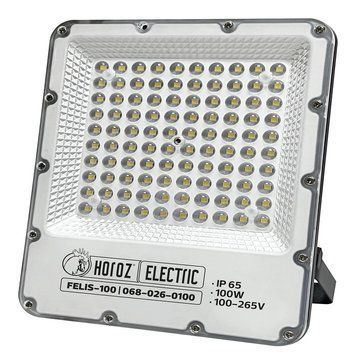 Прожектор світлодіодний "FELIS-100" 100W 6400K 12000Lm IP65 вуличний чорний 068-026-0100-010