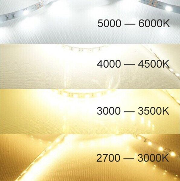 LED-лента Prolum 12V, 2835/120, IP20, серия SG, Нейтральный-белый (3800-4300K) 320038