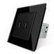 Розетка двойная USB с блоком питания Livolo стекло черный